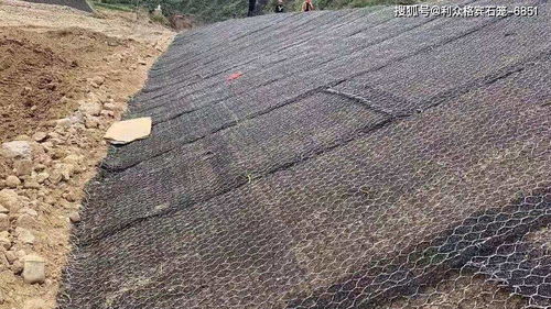 草綠色加筋麥克墊 邊坡綠化與蘭炭應(yīng)用中的鋪設(shè)特點解析