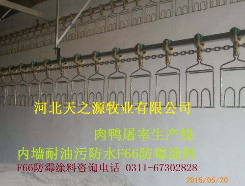 F66 9512防霉涂料 為食品廠、醫(yī)院、藥廠打造持久安全的白色防霉環(huán)境